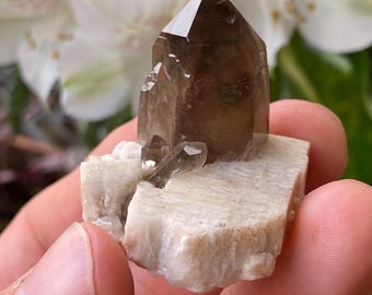 ¡Matriz humeante de Colorado!