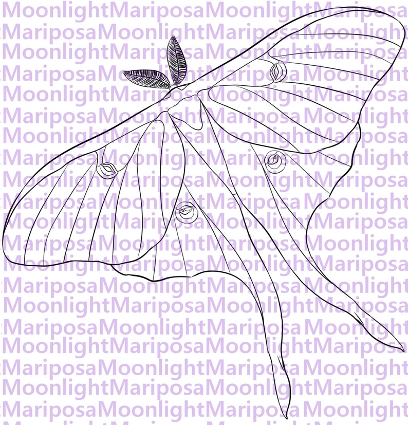 Luna Moth Coloring Page | Etsy Ireland