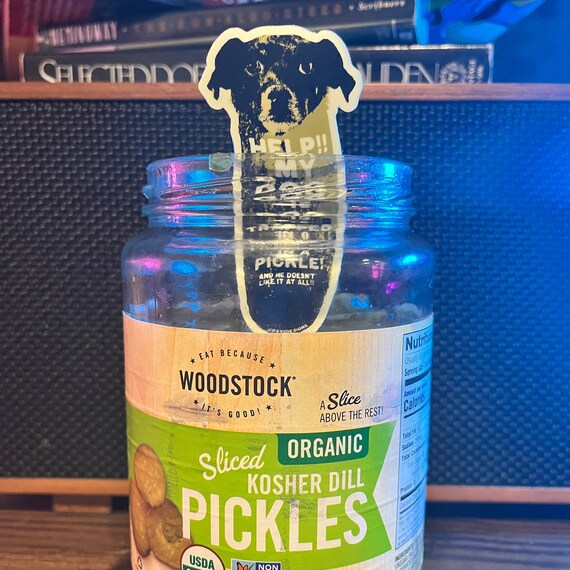 Why Does My Dog Love Pickles