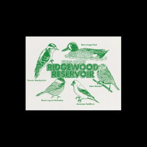 Birds of the Ridgewood Reservoir print