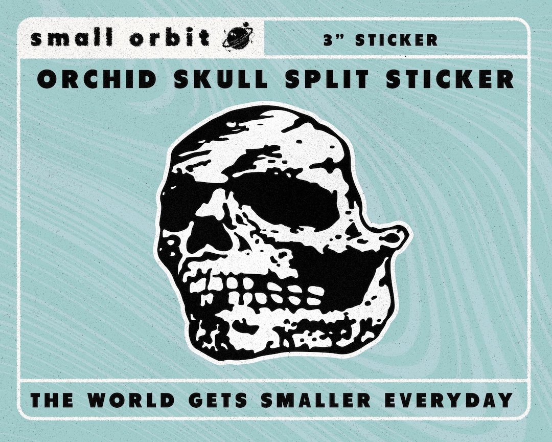 THE SKULL DISK DAMNGOOD!! × NATURE TONES il_1080xN.6630431374_61k6.jpg