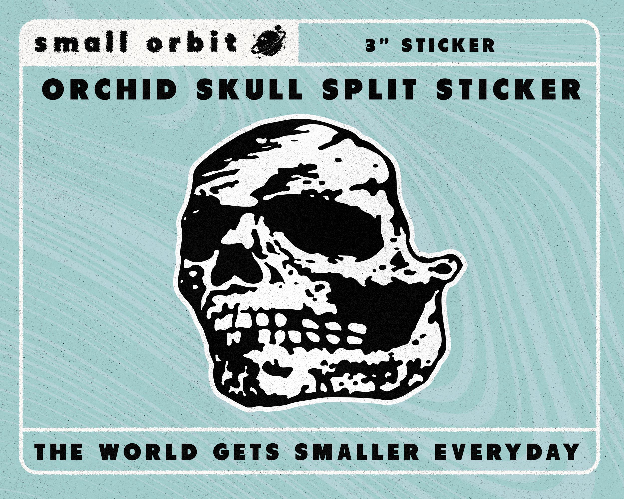【入手困難】【激レア】【25個限定】花魁髑髏　38灯　THEARTH ORCHID Skull Split 3