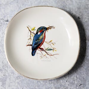 Weatherby Hanley England Royal Falcon Ware kingfisher small 5&quot; plate vintage