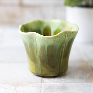 May include: A ceramic planter with a scalloped, wavy rim and a glossy glaze that transitions from a light, pale green at the top to a deeper, mossy olive green at the base, featuring vertical ridges that follow the shape of the scalloped edge.