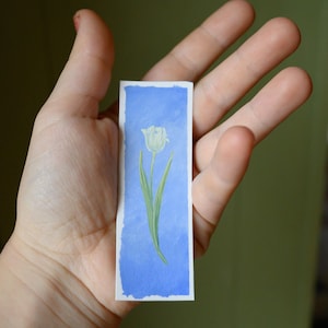 Tulipano bianco