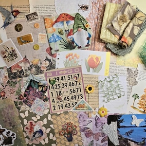 Nature Themed Ephemera Pack Scrapbook Bundle Junk Journal Mystery Grab Bag Mixed Media Collage Art Supplies Assorted Embellishments Ephemera