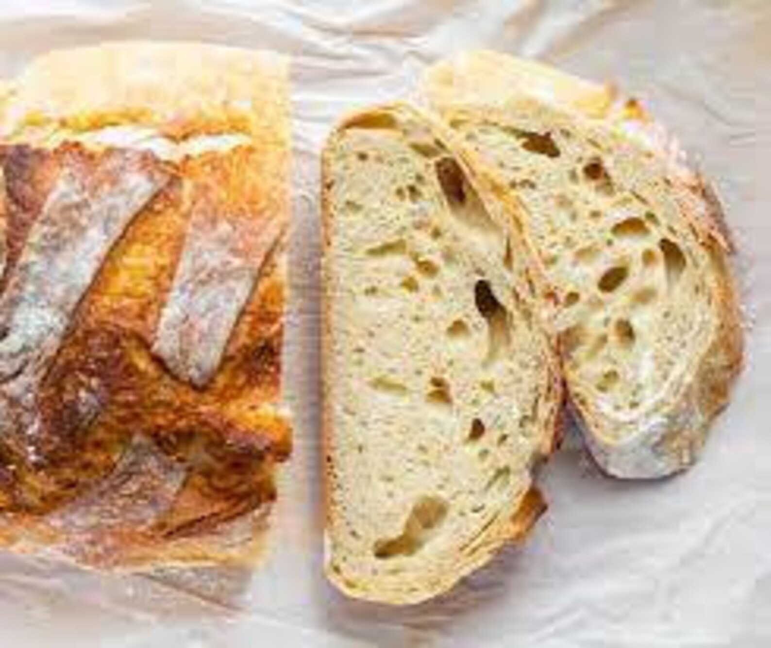 100 year old sourdough starter Etsy