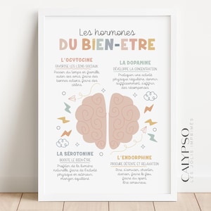 Poster sugli ormoni del benessere in francese, poster sulla salute mentale, per l'ufficio di terapia