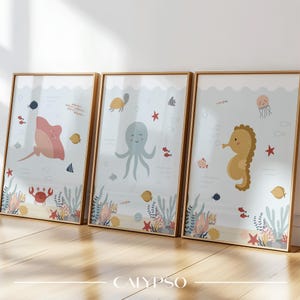 Lotto di poster di animali marini per bambini - poster sotto il mare, decorazione murale di pesci dell'oceano