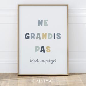 Póster "Los niños no crecen, es una trampa" - decoración de pared para dormitorio o sala de juegos