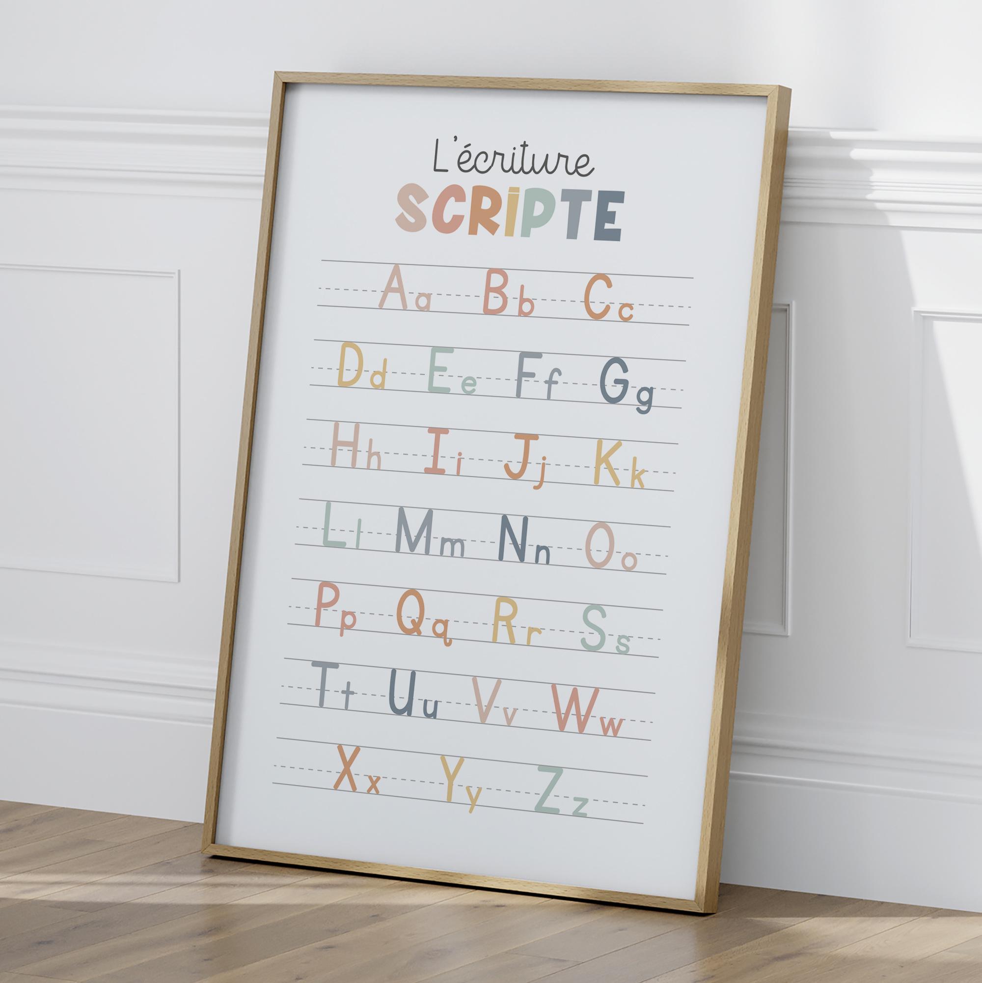 Multicolored Cursive & Script Alphabet Poster – Educational Print for ...