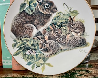 Collector Plate “Cottontail Rabbits” Richard Timm Nature’s Heritage