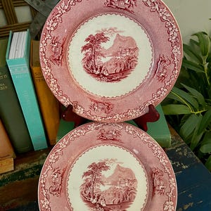 Vintage Transferware Royal Staffordshire Dinner Plates Set of 2