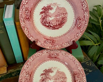 Vintage Transferware Royal Staffordshire Dinner Plates Set of 2