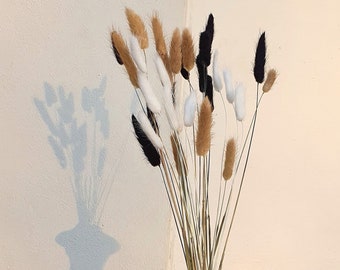 Mixed Bunny Tails Grass 60cm | Dried Lagurus Stems | Natural, White, Grey, Black & Pink Bunny Tails Dried Flowers | Boho Cake and Home Decor