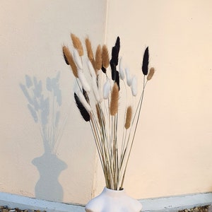 Dried Bunny Tails 60cm 20, 40 or 60 stems Natural Bunny Tails Dried Flowers Mini Dried Pampas Grass Stems Boho Wedding Home Decor image 8