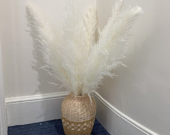 White Pampas Grass 100cm | Tall Pampas Grass Dried Flowers | Large Pampas Arrangement | Boho Wedding Decor UK