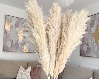 May include: A bouquet of dried pampas grass with natural beige plumes. The stems are bundled together and held by a hand.