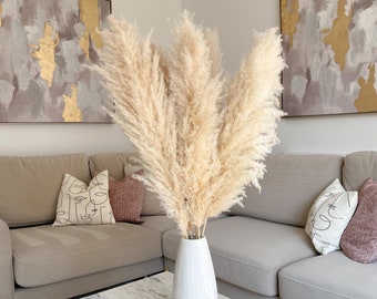 XL Natural Pampas Grass 100cm Tall | Boho Wedding Decor | Light Beige Pampas | Large Extra Fluffy Cream Dried Flowers Pampas Arrangement UK