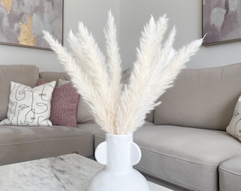 Small Pampas Grass 60cm -15 Stems White, Brown or Grey Pampas | Pampas Grass Decor | Dried Flowers Pampas Arrangement | Home & Wedding Decor