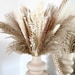 see more listings in the Pampas bouquets section