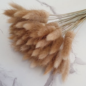 Dried Bunny Tails 60cm 20, 40 or 60 stems Natural Bunny Tails Dried Flowers Mini Dried Pampas Grass Stems Boho Wedding Home Decor image 3