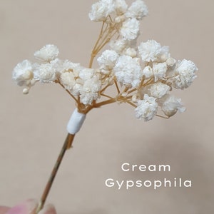 Gypsophila Hair Pins Cream, Ivory or White Babys Breath Hair Pins Dried Flower Bobby Pins Bridal Hair Pins Boho Wedding Hair Piece image 4