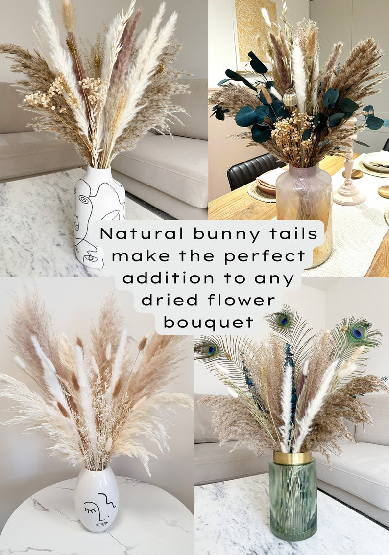 Dried Bunny Tails 60cm 20, 40 or 60 stems Natural Bunny Tails Dried Flowers Mini Dried Pampas Grass Stems Boho Wedding Home Decor image 7