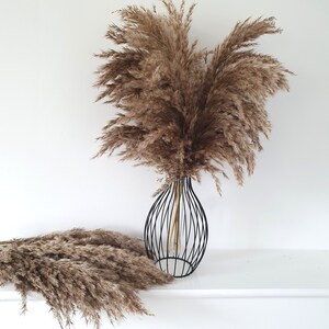May include: A bouquet of dried pampas grass in a black wire vase. The vase is on a white surface. The pampas grass is a light brown color.