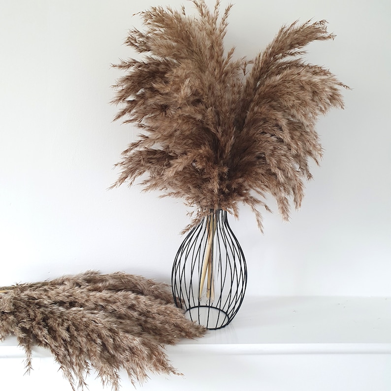 May include: A bouquet of dried pampas grass in a black wire vase. The vase is on a white surface. The pampas grass is a light brown color.