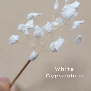 Gypsophila Hair Pins Cream, Ivory or White Babys Breath Hair Pins Dried Flower Bobby Pins Bridal Hair Pins Boho Wedding Hair Piece image 5
