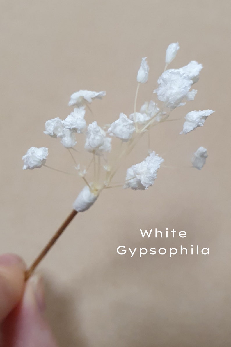 Gypsophila Hair Pins Cream, Ivory or White Babys Breath Hair Pins Dried Flower Bobby Pins Bridal Hair Pins Boho Wedding Hair Piece zdjęcie 5