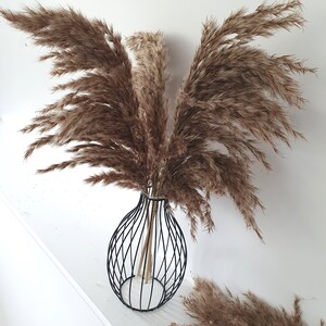 May include: A bouquet of dried pampas grass in a black wire vase. The vase has a round base and a narrow neck. The pampas grass is a light brown color and has a fluffy texture.
