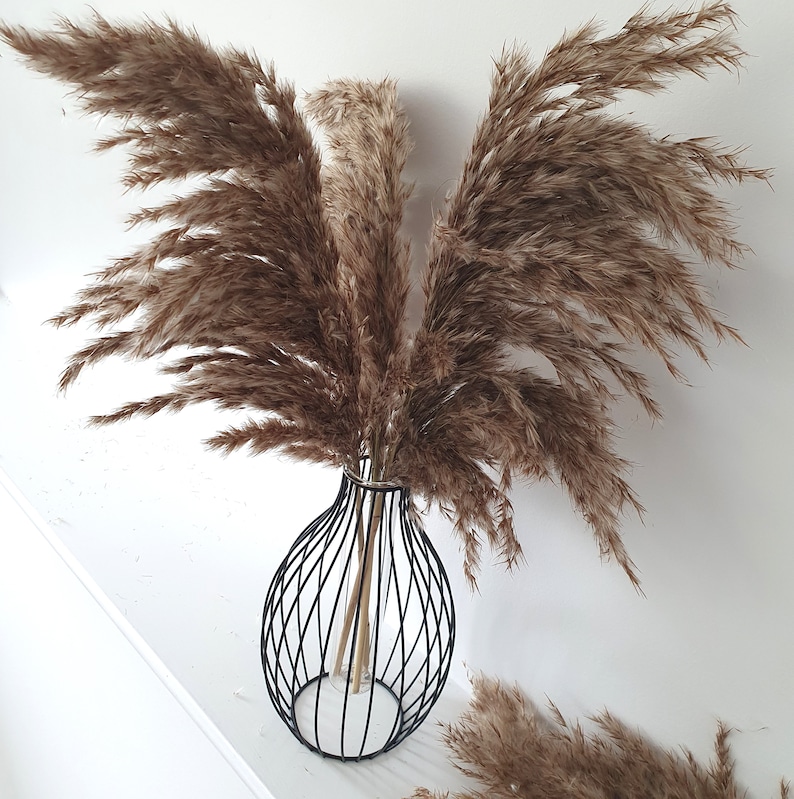May include: A bouquet of dried pampas grass in a black wire vase. The vase has a round base and a narrow neck. The pampas grass is a light brown color and has a fluffy texture.
