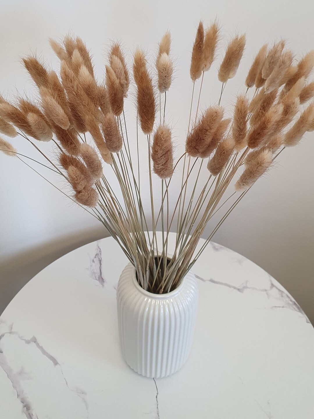 Dried Bunny Tails 60cm | 20, 40 or 60 Stems Natural Bunny Tails Dried ...