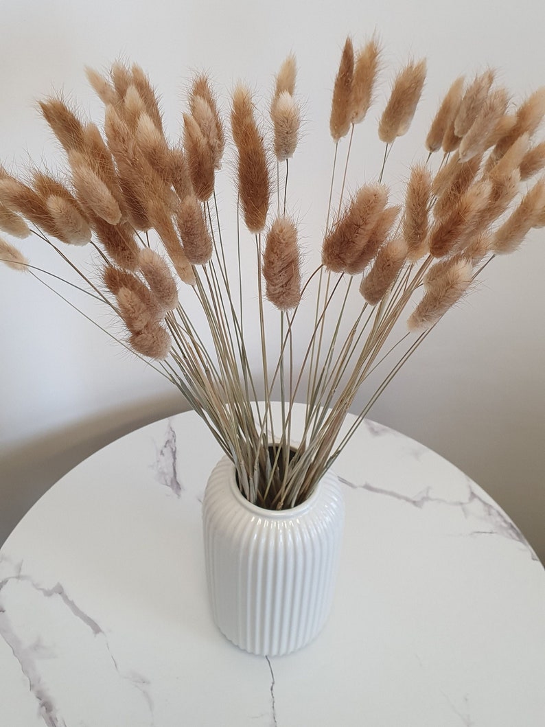 Dried Bunny Tails 60cm 20, 40 or 60 stems Natural Bunny Tails Dried Flowers Mini Dried Pampas Grass Stems Boho Wedding Home Decor image 1