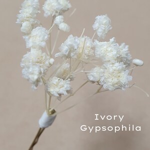 Gypsophila Hair Pins Cream, Ivory or White Babys Breath Hair Pins Dried Flower Bobby Pins Bridal Hair Pins Boho Wedding Hair Piece image 3