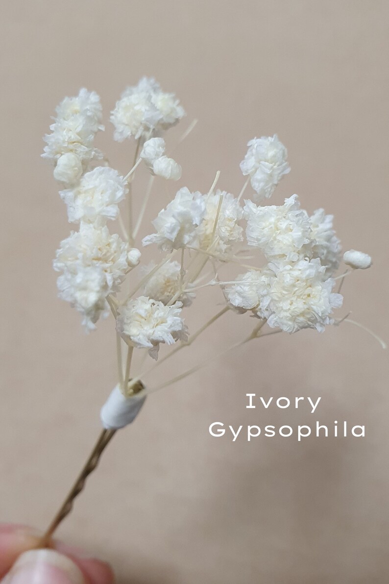 Gypsophila Hair Pins Cream, Ivory or White Babys Breath Hair Pins Dried Flower Bobby Pins Bridal Hair Pins Boho Wedding Hair Piece image 3