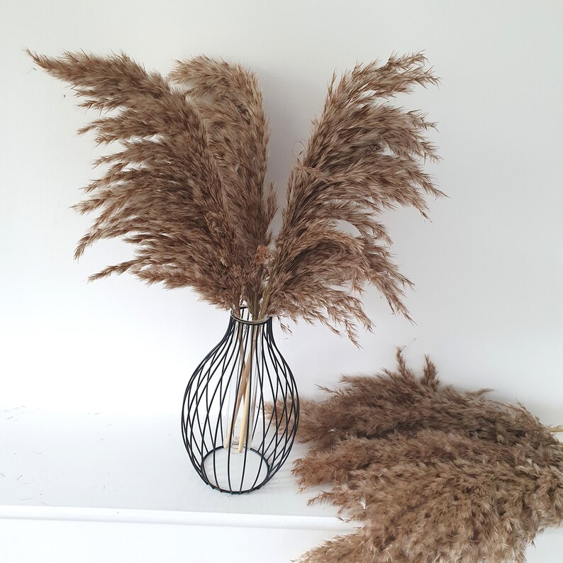 May include: A bouquet of dried pampas grass in a black wire vase. The vase is round and has a geometric design. The pampas grass is a light brown color and is arranged in a loose, natural style.