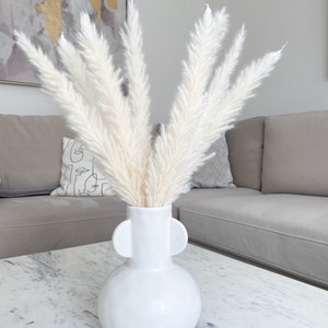May include: White pampas grass in a white ceramic vase with two round handles. The vase is on a white marble table.