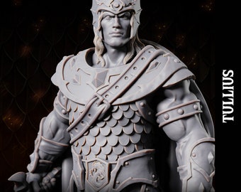 Tullius (Caramon)-Dragonblade-Primal Collectibles-3D Printed Resin RPG/Dungeons & Dragons/Dragonlance Miniature/Bust