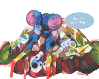 Mantis Shrimp Art Print, Wall Decor, Beach House Decor, Watercolor Painting Print, High Quality Print, Scientific Illustration