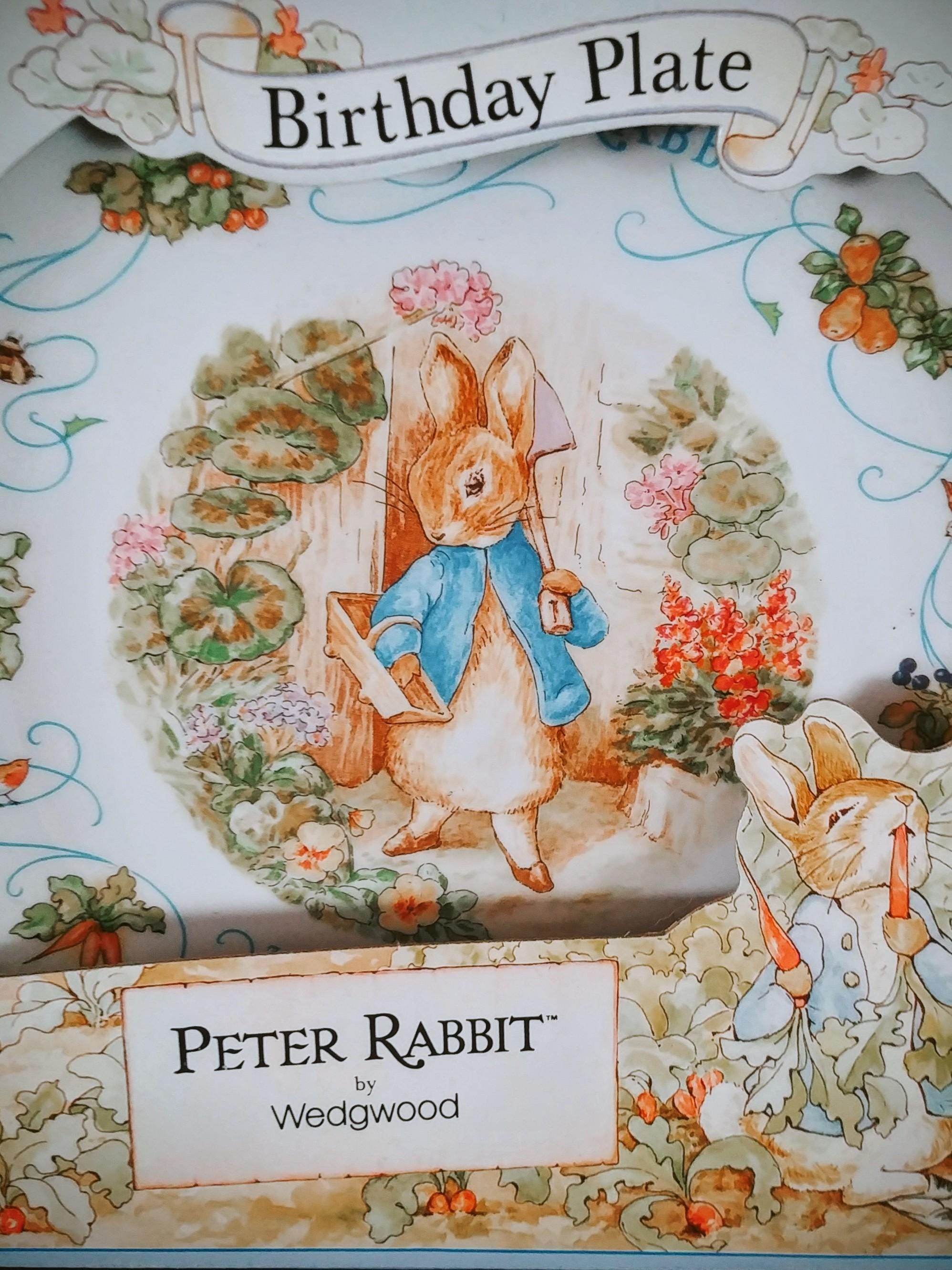 ♣️PETER RABBIT by プレート 1996-2001 1996 Peter Rabbit - Etsy