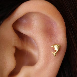 Labret à dos plat en forme de petit dauphin • Boucle d'oreille à filetage interne 18 g/16 g • Clous tragus • Boucles d'oreilles animal • Clous de cartilage hélicoïdal • Clous de nez