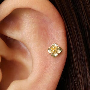 Dainty Flower Labret: 18K Gold Tragus, Conch Earring (16G/18G)