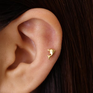 18G Baby Dolphin Gold Labret Cartilage Studs • tragus stud • conch earring • tragus • helix • cartilage piercing • minimalist • FLAT BACK