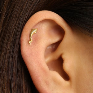 May include: A gold dolphin earring, worn in the upper lobe of an ear.