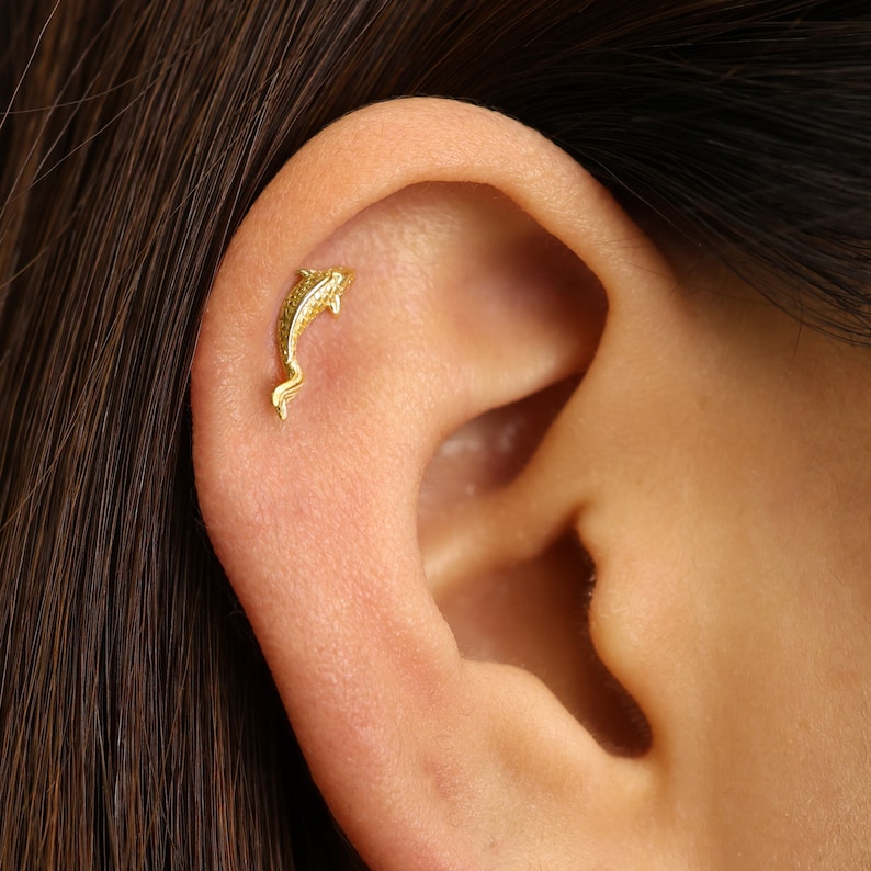 May include: A gold dolphin earring, worn in the upper lobe of an ear.