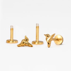 Clous de cartilage en or labret colibri 20 g • clou de tragus • boucle d'oreille conque • tragus • hélice • piercing du cartilage • minimaliste • DOS PLAT