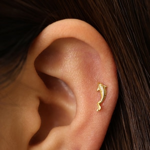 May include: A close-up of a person's ear with a gold dolphin earring. The dolphin is facing upwards and has a detailed design.